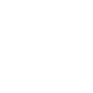 Anliker_1