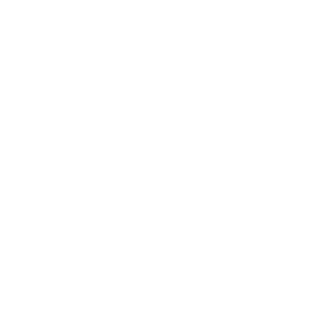 B+P_3