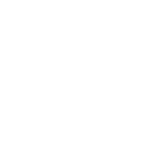 suisseplan_2