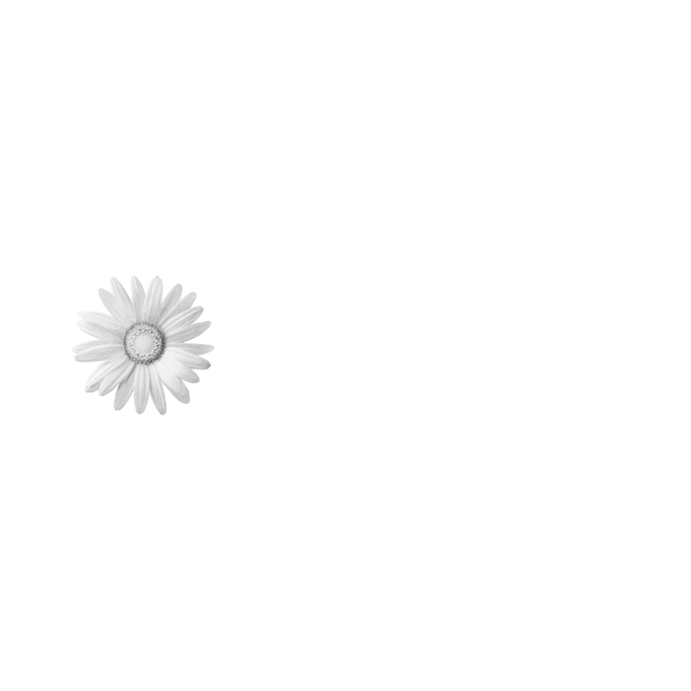 Implenia_1.png